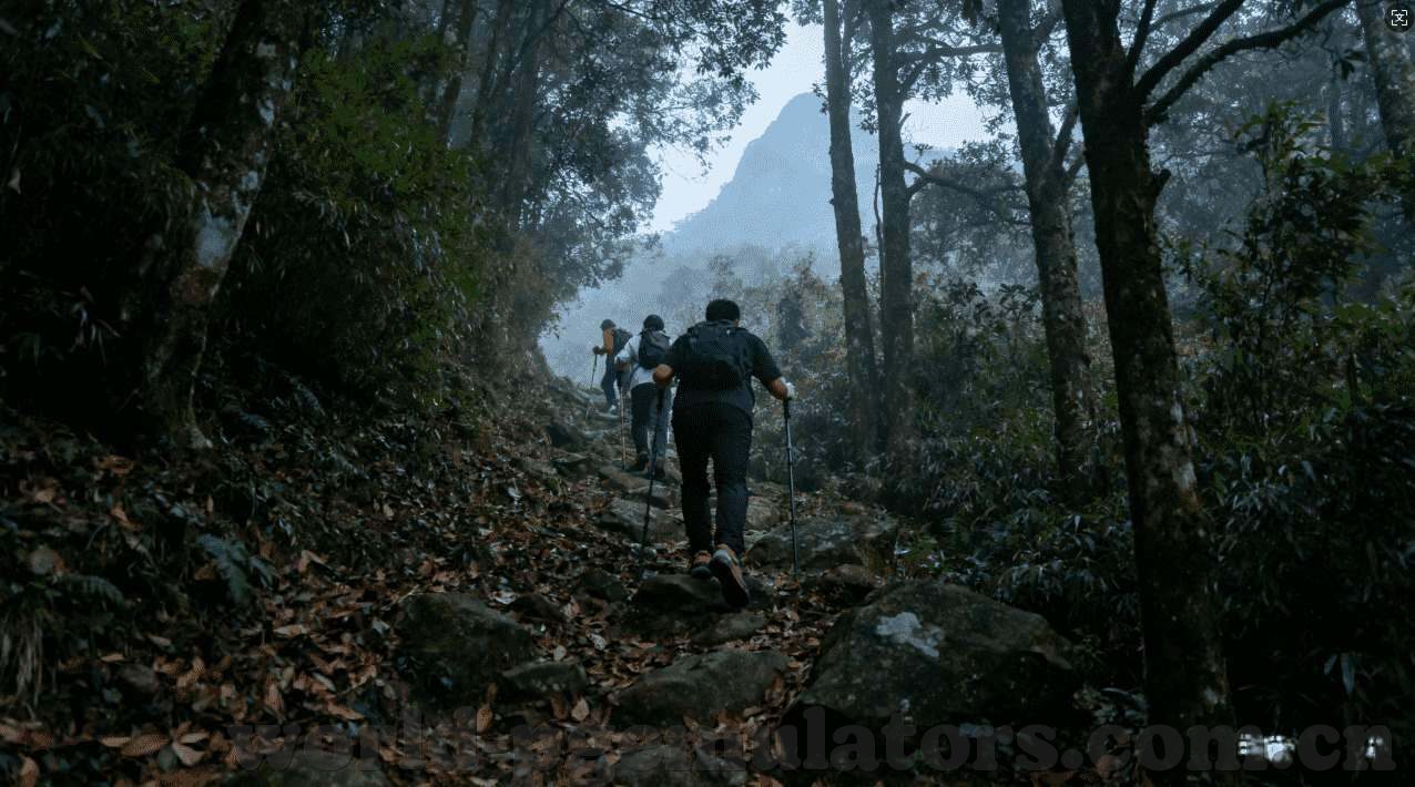 大发娱网页版登录入口-大发娱网页版登录入口，探索高效娱乐新体验